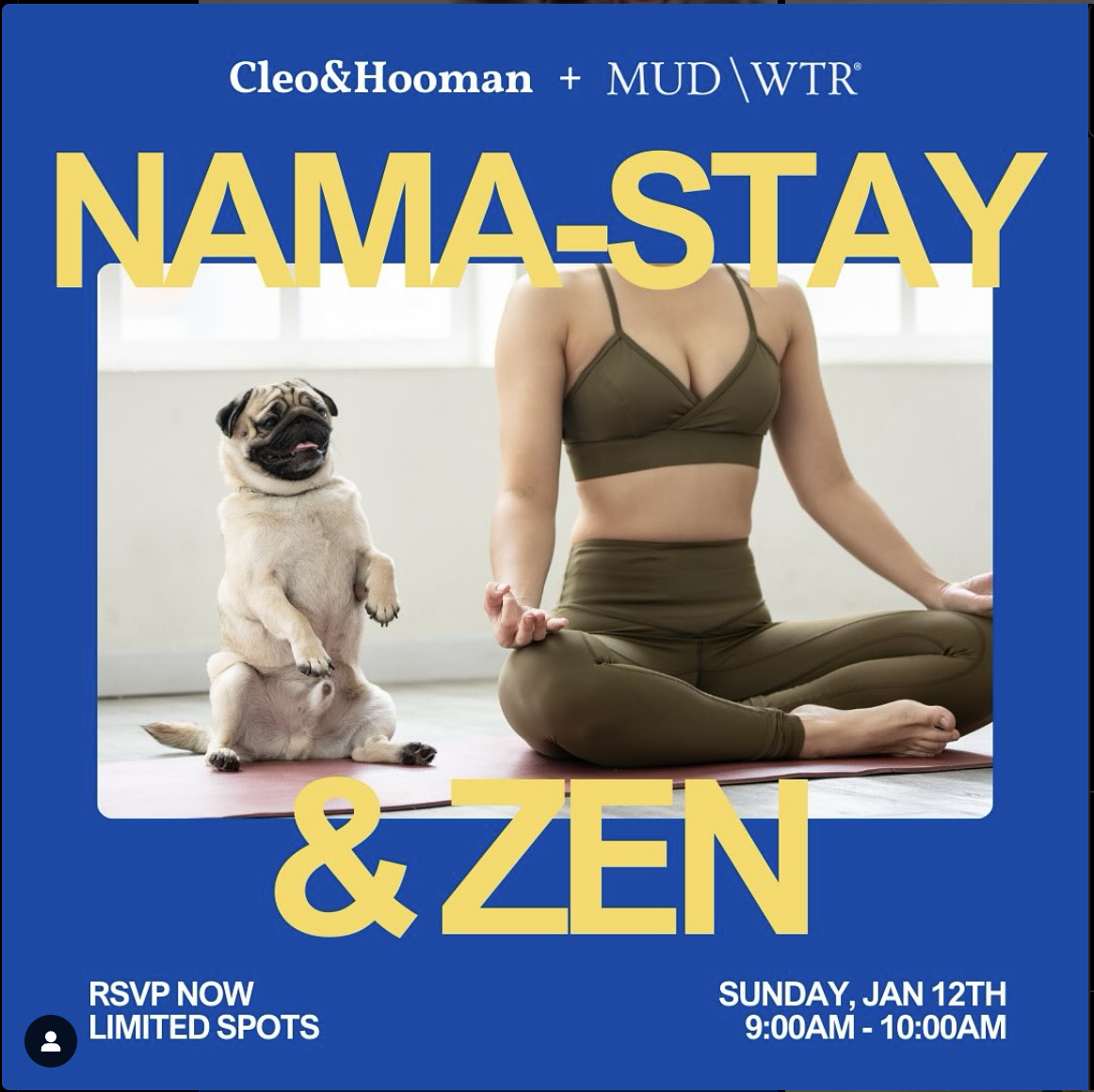 Nama-Stay & Zen Puppy Yoga